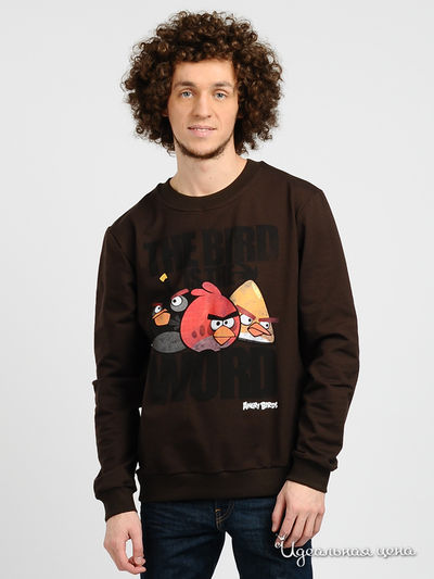 Свитшот Angry Birds, цвет цвет шоколадный