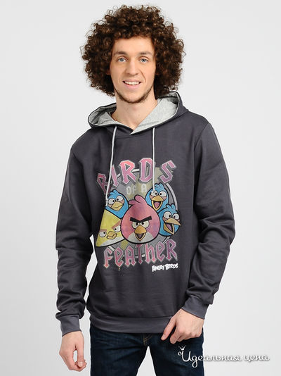 Свитшот Angry Birds, цвет цвет темно-серый