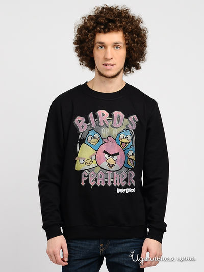 Свитшот Angry Birds, цвет цвет черный