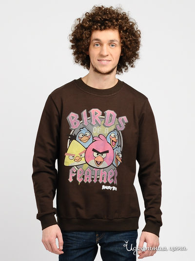 Свитшот Angry Birds, цвет цвет шоколадный