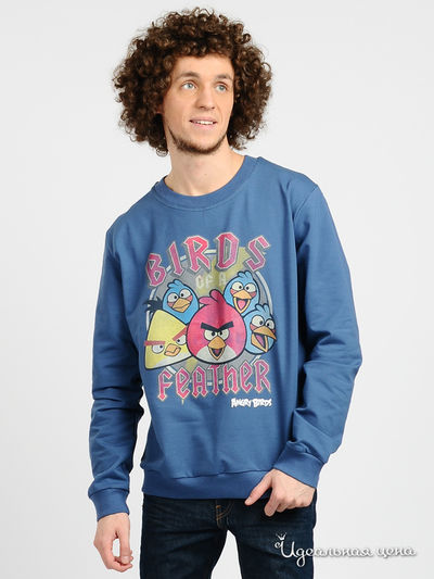 Свитшот Angry Birds, цвет цвет индиго