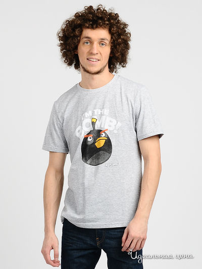 Футболка Angry Birds, цвет цвет серый меланж