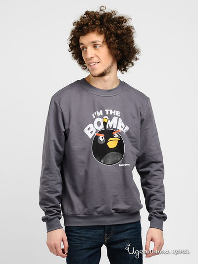 Свитшот Angry Birds, цвет цвет темно-серый