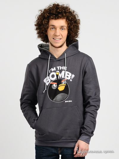 Свитшот Angry Birds, цвет цвет темно-серый