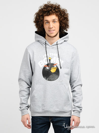 Свитшот Angry Birds, цвет цвет серый