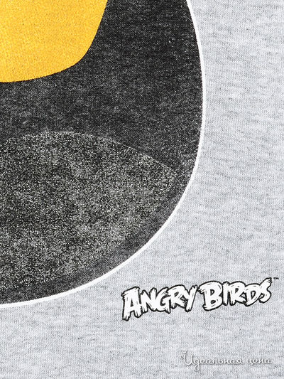 Свитшот Angry birds мужской, цвет серый