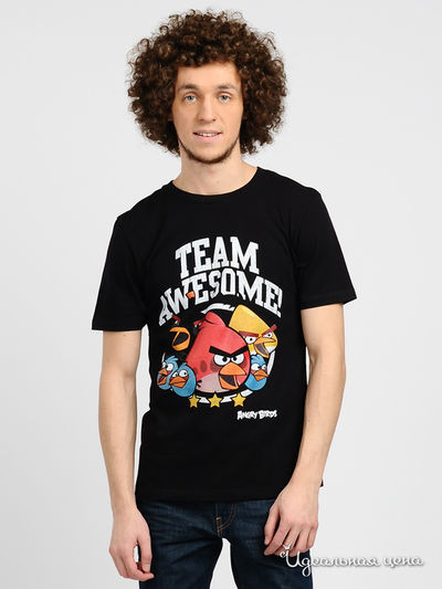 Футболка Angry Birds, цвет цвет черный