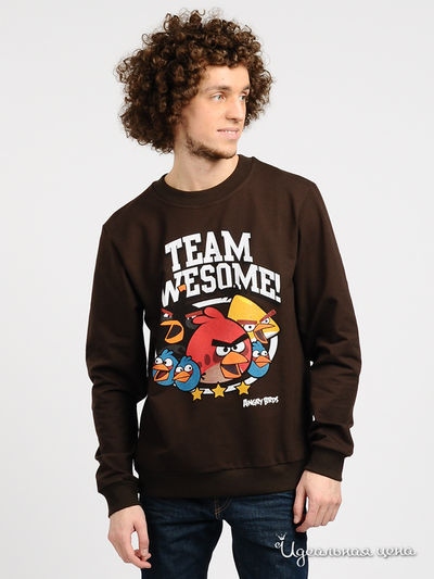 Свитшот Angry Birds, цвет цвет шоколадный