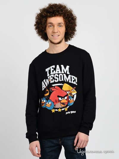 Свитшот Angry Birds, цвет цвет черный