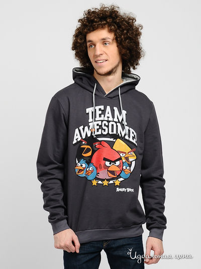 Свитшот Angry Birds, цвет цвет темно-серый