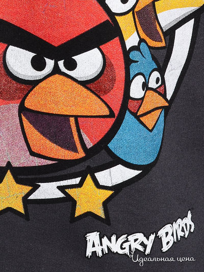Свитшот Angry birds мужской, цвет темно-серый
