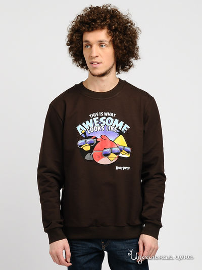 Свитшот Angry Birds, цвет цвет шоколадный