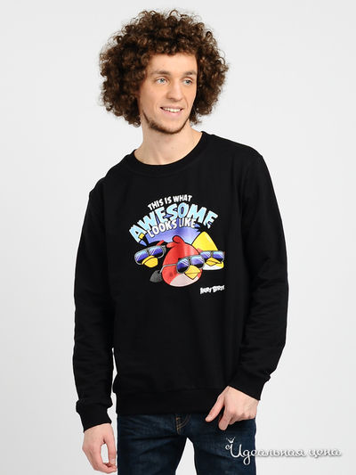 Свитшот Angry Birds, цвет цвет черный