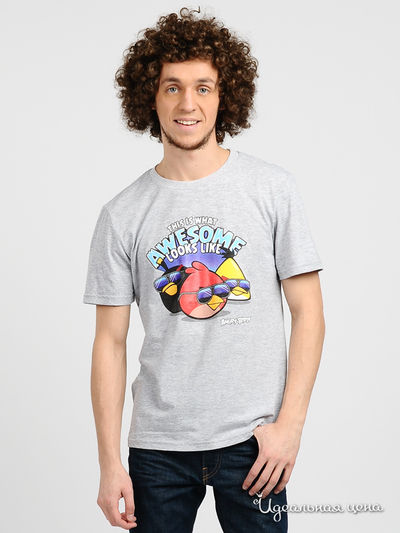 Футболка Angry Birds, цвет цвет серый меланж