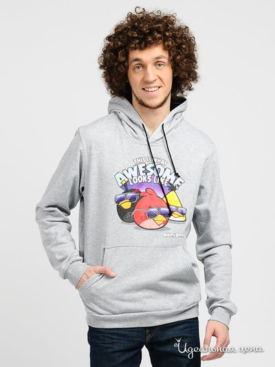 Свитшот Angry Birds, цвет цвет серый