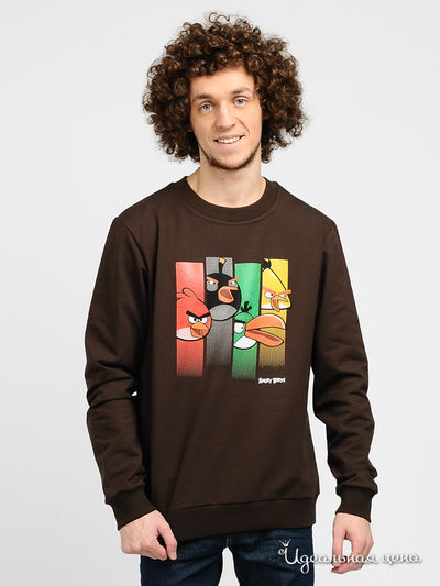 Свитшот Angry Birds, цвет цвет шоколадный