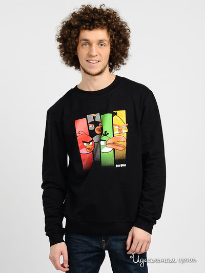 Свитшот Angry Birds, цвет цвет черный