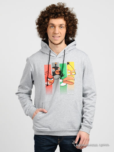 Свитшот Angry Birds, цвет цвет серый