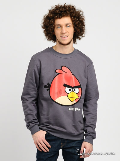 Свитшот Angry Birds, цвет цвет темно-серый