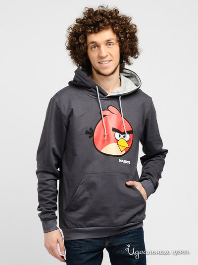 Свитшот Angry Birds, цвет цвет темно-серый