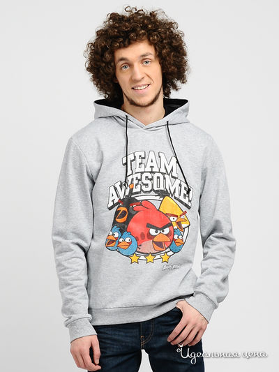 Свитшот Angry Birds, цвет цвет серый