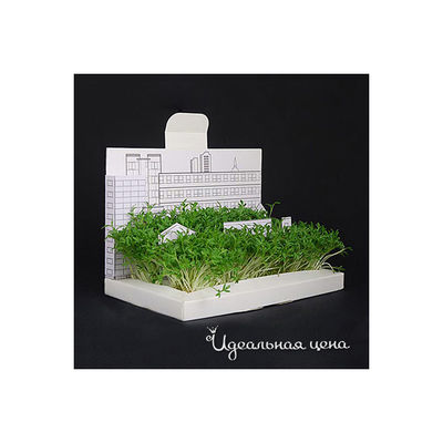 Открытка BorЯn