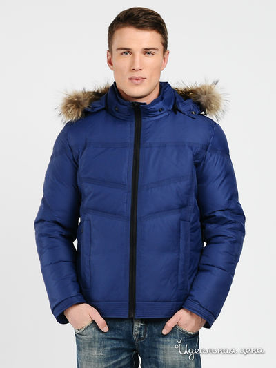 Пуховик Evolution, цвет цвет синий