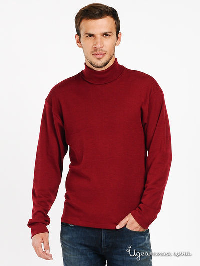 Водолазка Infil, цвет цвет ягодный