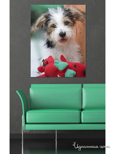 Картина MOMO concept