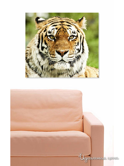 Картина MOMO concept