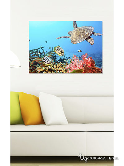 Картина MOMO concept