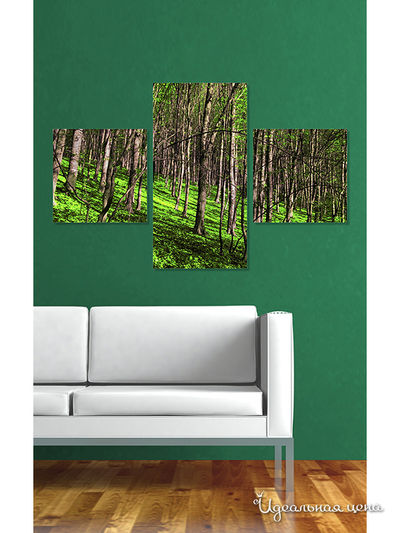 Картина MOMO concept