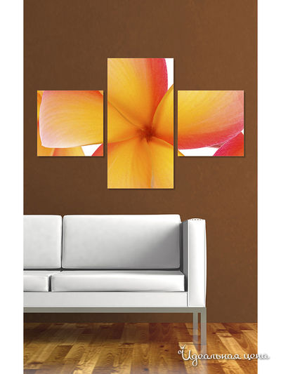 Картина MOMO concept