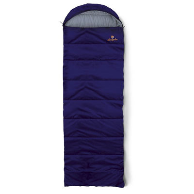 Спальник Pinguin, цвет синий