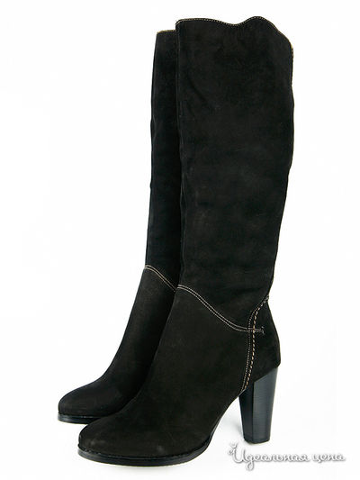 Сапоги Cardinali, цвет цвет черный