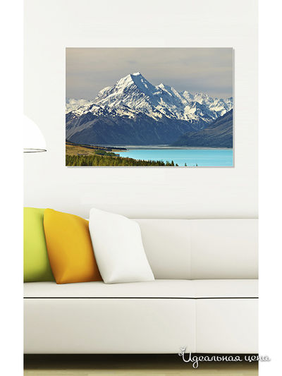 Картина MOMO concept