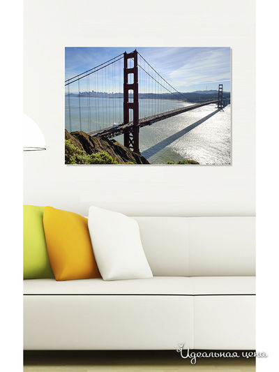 Картина MOMO concept