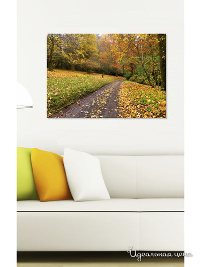 Картина MOMO concept