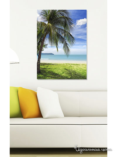 Картина MOMO concept