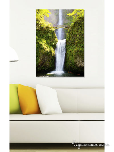 Картина MOMO concept