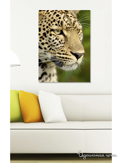 Картина MOMO concept