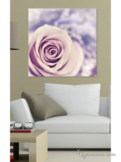 Картина MOMO concept