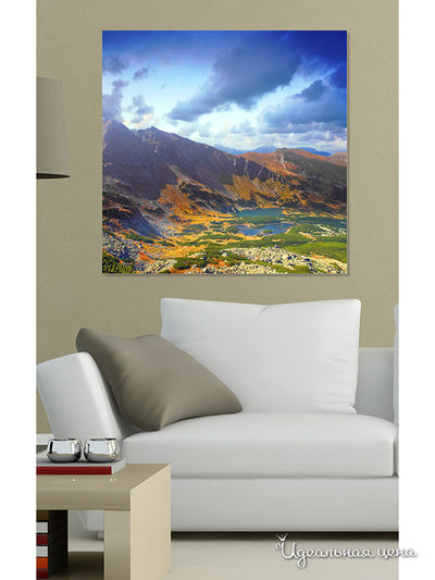 Картина MOMO concept