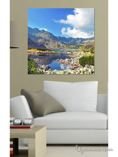 Картина MOMO concept