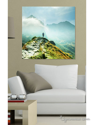 Картина MOMO concept