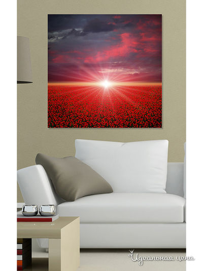 Картина MOMO concept