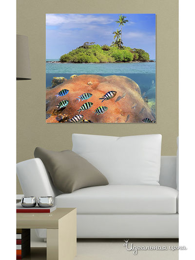 Картина MOMO concept