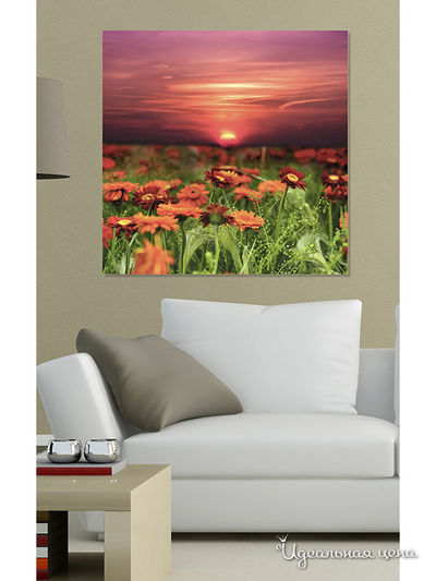 Картина MOMO concept