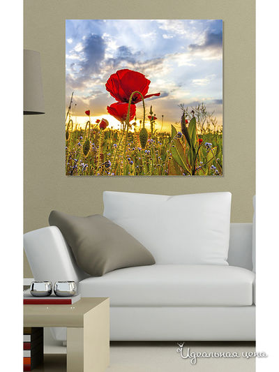 Картина MOMO concept