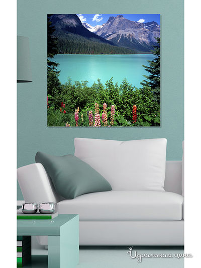 Картина MOMO concept